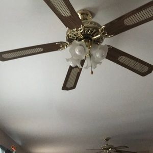 Meet your Posher, Marilyn